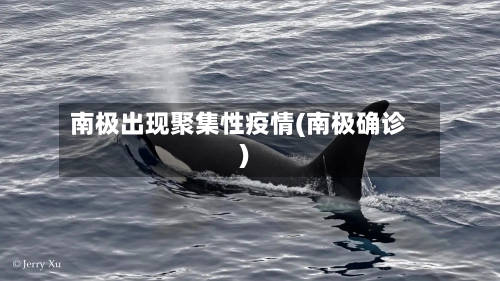 南极出现聚集性疫情(南极确诊)