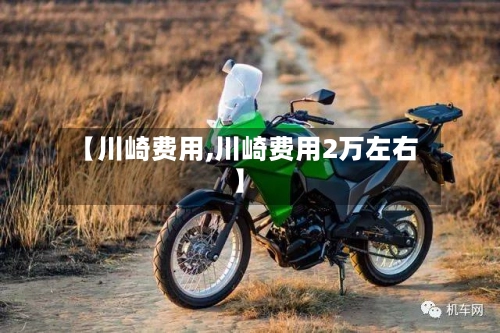 【川崎费用,川崎费用2万左右】-第3张图片