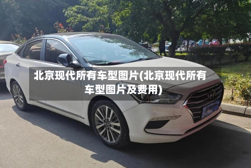 北京现代所有车型图片(北京现代所有车型图片及费用)-第3张图片