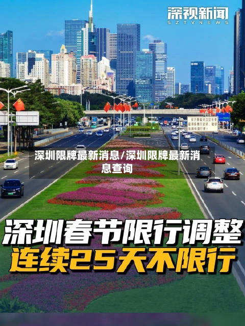 深圳限牌最新消息/深圳限牌最新消息查询-第2张图片