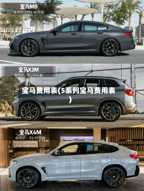 宝马费用表(5系列宝马费用表)-第2张图片