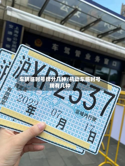 车辆临时号牌分几种/机动车临时号牌有几种-第2张图片