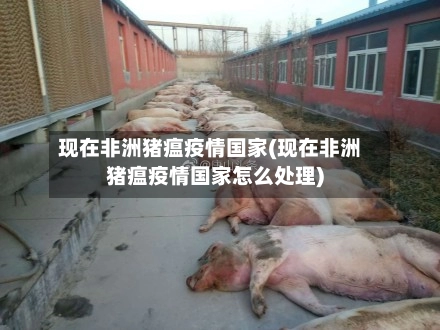 现在非洲猪瘟疫情国家(现在非洲猪瘟疫情国家怎么处理)