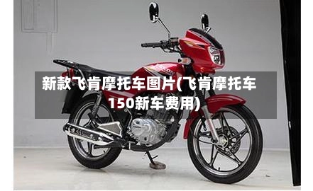 新款飞肯摩托车图片(飞肯摩托车150新车费用)-第2张图片