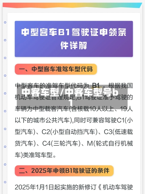 中客车型/中客车型号b1-第2张图片