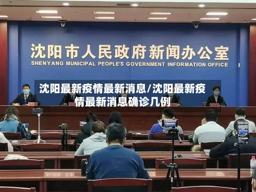 沈阳最新疫情最新消息/沈阳最新疫情最新消息确诊几例-第2张图片