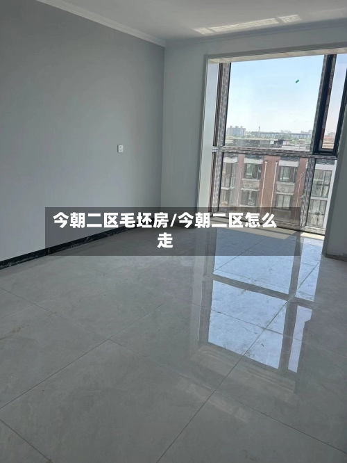 今朝二区毛坯房/今朝二区怎么走-第2张图片
