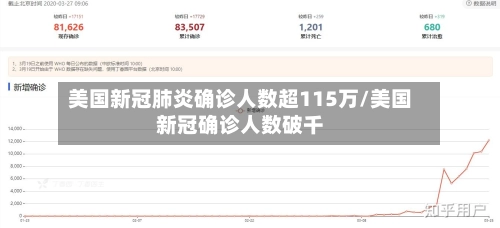 美国新冠肺炎确诊人数超115万/美国新冠确诊人数破千-第3张图片