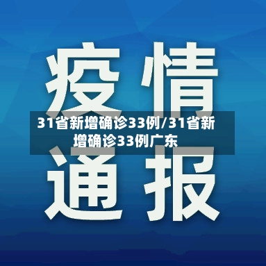 31省新增确诊33例/31省新增确诊33例广东