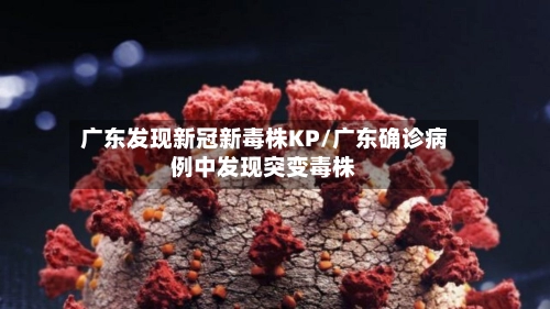 广东发现新冠新毒株KP/广东确诊病例中发现突变毒株