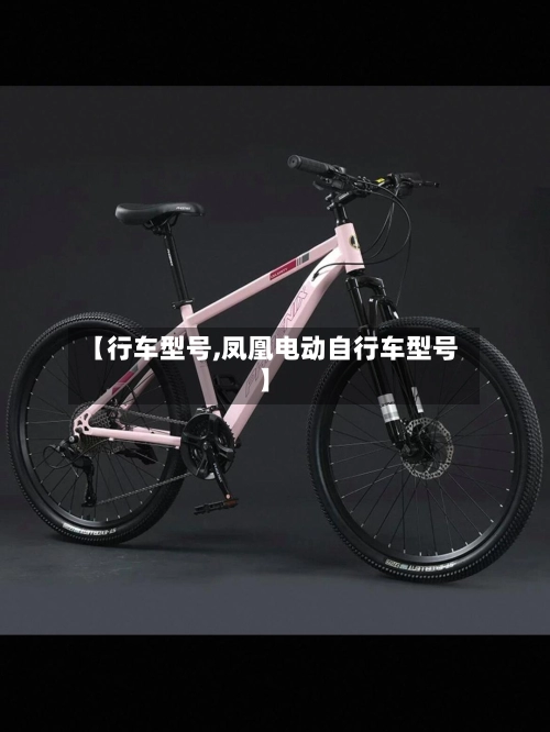 【行车型号,凤凰电动自行车型号】-第2张图片