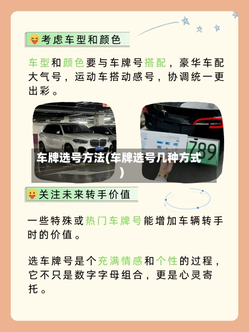 车牌选号方法(车牌选号几种方式)