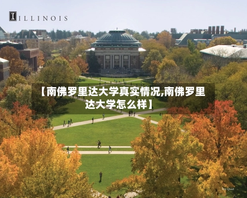 【南佛罗里达大学真实情况,南佛罗里达大学怎么样】-第3张图片