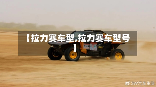 【拉力赛车型,拉力赛车型号】-第3张图片