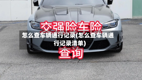怎么查车辆通行记录(怎么查车辆通行记录清单)-第2张图片