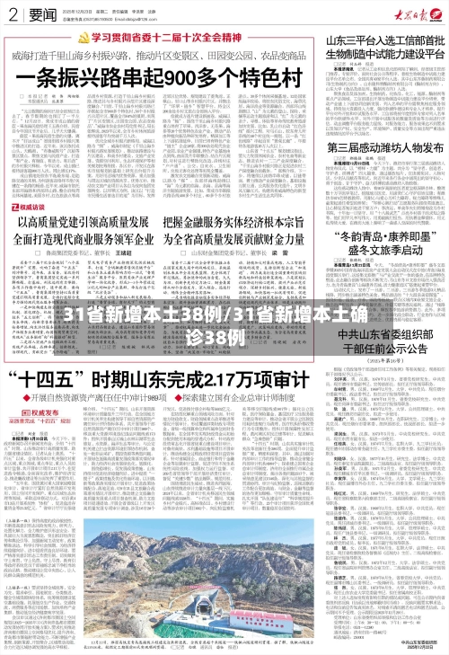 31省新增本土38例/31省新增本土确诊38例