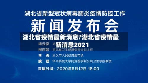湖北省疫情最新消息/湖北省疫情最新消息2021-第2张图片