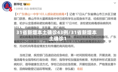 31省新增本土确诊43例/31省新增本土确诊1