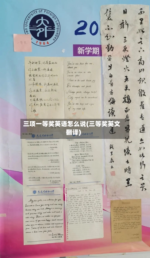 三项一等奖英语怎么说(三等奖英文翻译)-第3张图片