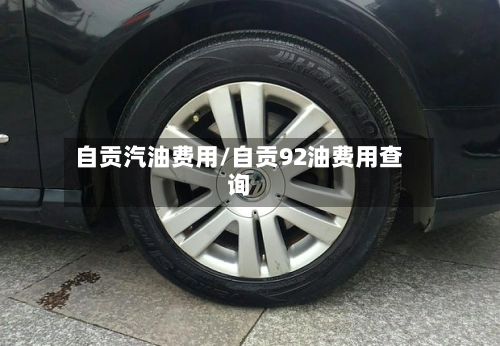 自贡汽油费用/自贡92油费用查询-第3张图片