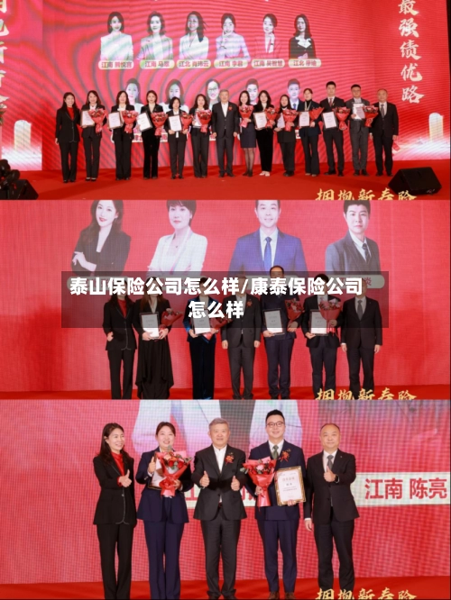 泰山保险公司怎么样/康泰保险公司怎么样