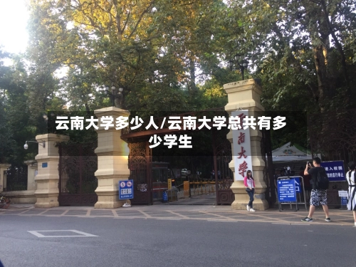 云南大学多少人/云南大学总共有多少学生-第2张图片