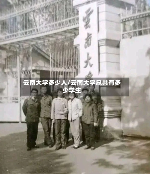 云南大学多少人/云南大学总共有多少学生-第3张图片
