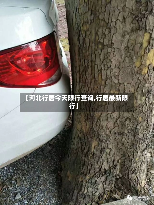 【河北行唐今天限行查询,行唐最新限行】-第3张图片