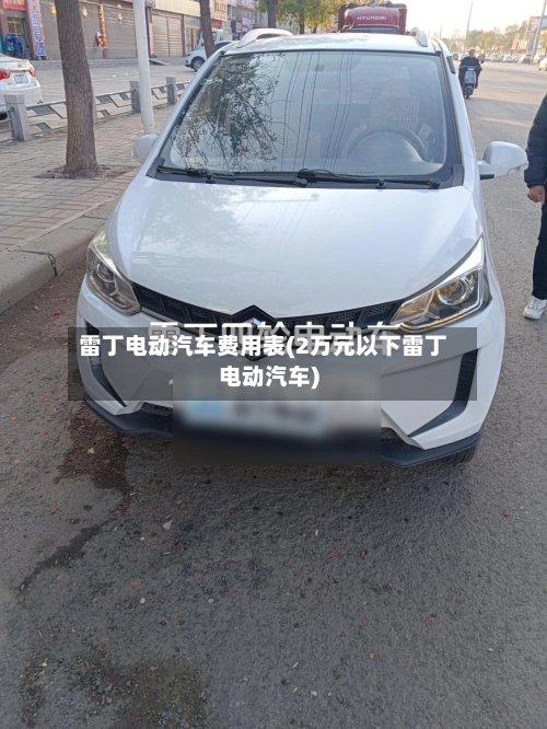 雷丁电动汽车费用表(2万元以下雷丁电动汽车)