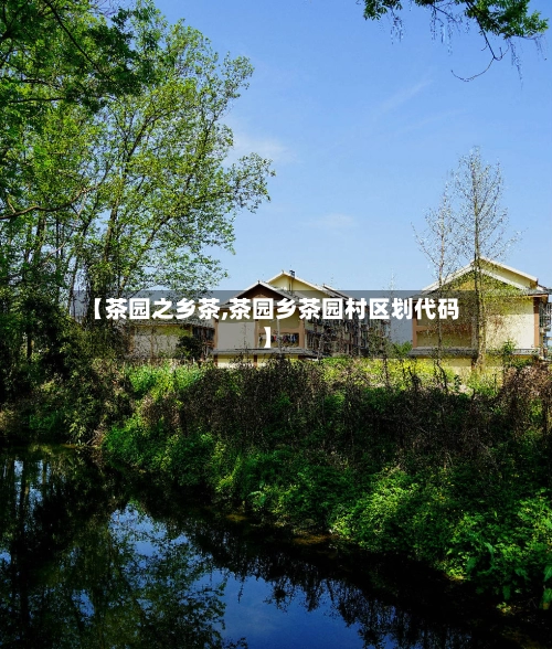 【茶园之乡茶,茶园乡茶园村区划代码】