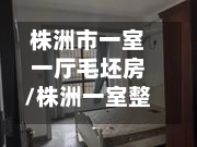 株洲市一室一厅毛坯房/株洲一室整租房费用信息