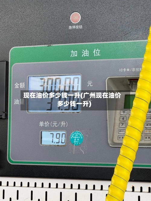 现在油价多少钱一升(广州现在油价多少钱一升)-第2张图片