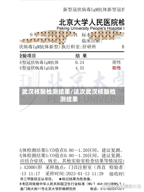 武汉核酸检测结果/这次武汉核酸检测结果