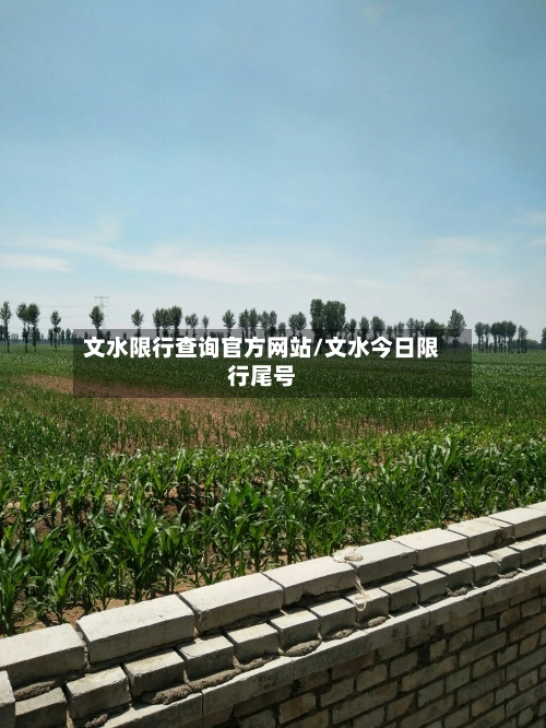 文水限行查询官方网站/文水今日限行尾号
