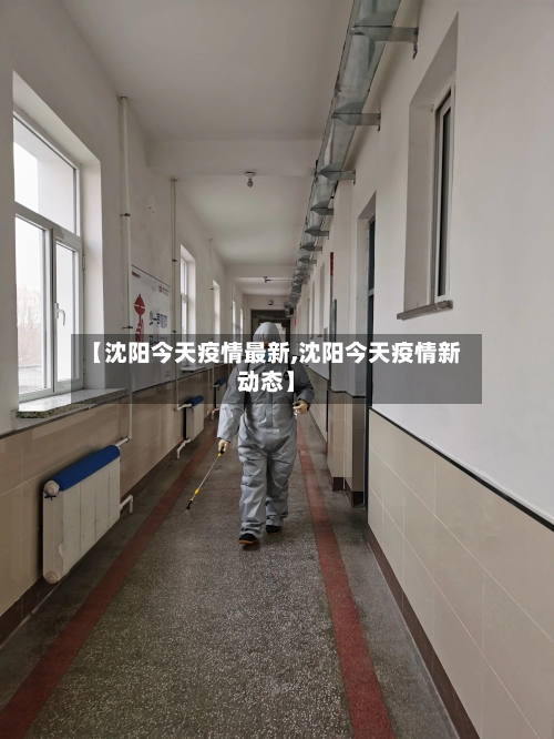 【沈阳今天疫情最新,沈阳今天疫情新动态】