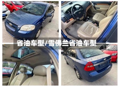 省油车型/雪佛兰省油车型