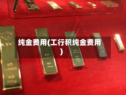 纯金费用(工行积纯金费用)