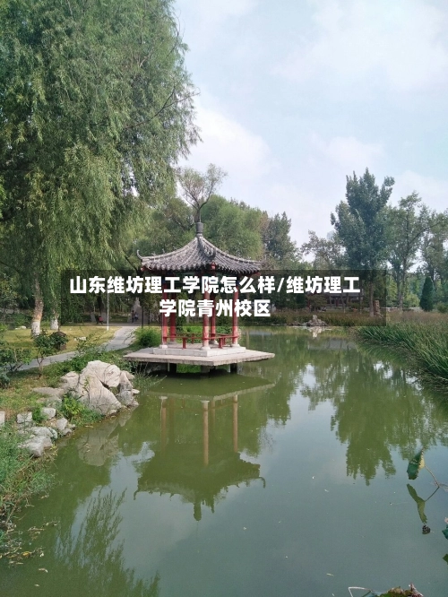 山东维坊理工学院怎么样/维坊理工学院青州校区-第2张图片