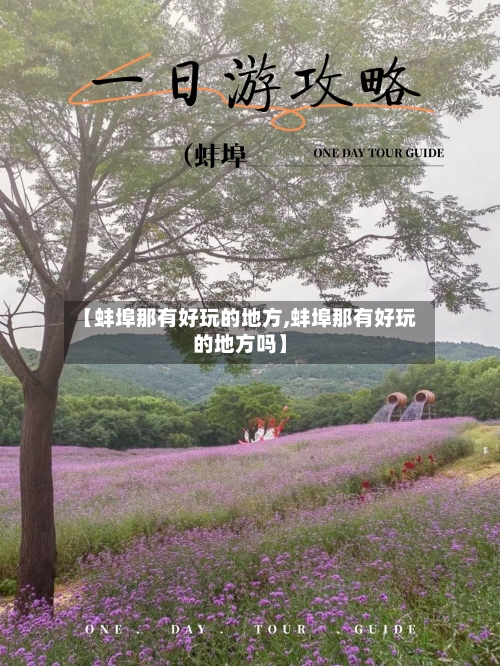 【蚌埠那有好玩的地方,蚌埠那有好玩的地方吗】-第3张图片