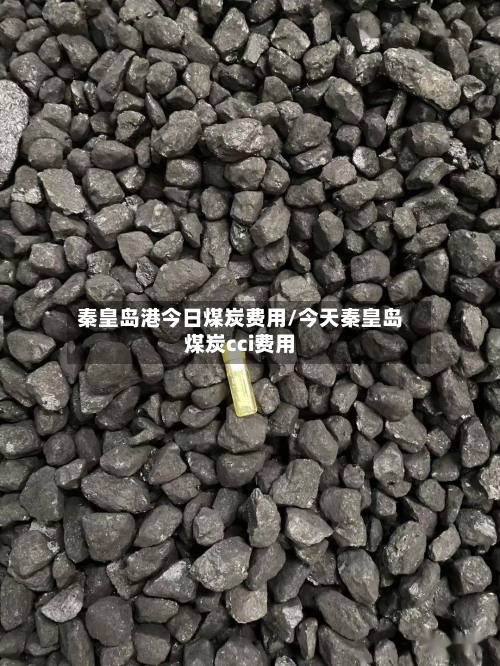 秦皇岛港今日煤炭费用/今天秦皇岛煤炭cci费用