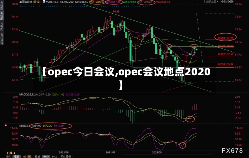 【opec今日会议,opec会议地点2020】