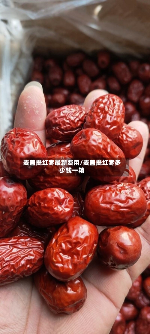 麦盖提红枣最新费用/麦盖提红枣多少钱一箱