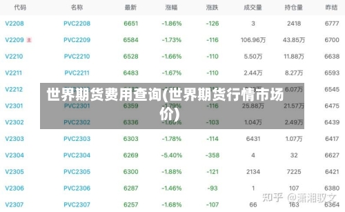 世界期货费用查询(世界期货行情市场价)-第1张图片