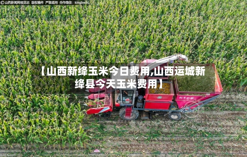 【山西新绛玉米今日费用,山西运城新绛县今天玉米费用】