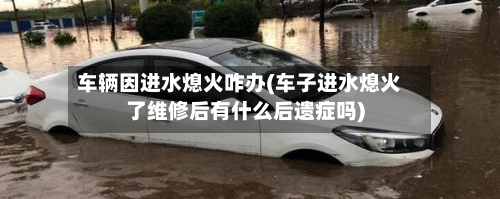 车辆因进水熄火咋办(车子进水熄火了维修后有什么后遗症吗)