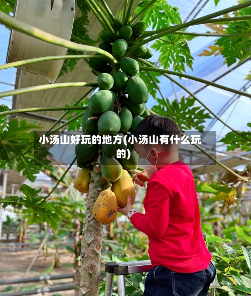 小汤山好玩的地方(小汤山有什么玩的)-第2张图片