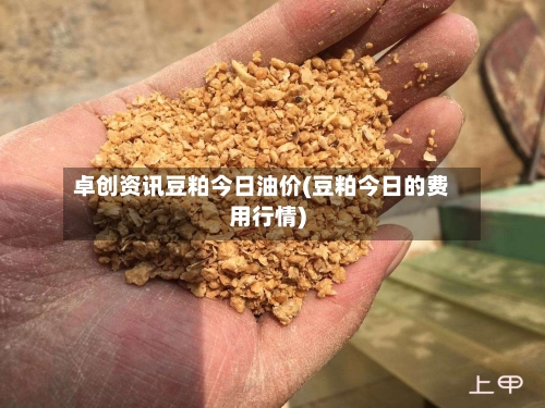 卓创资讯豆粕今日油价(豆粕今日的费用行情)-第2张图片