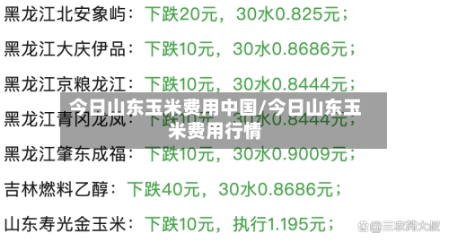 今日山东玉米费用中国/今日山东玉米费用行情