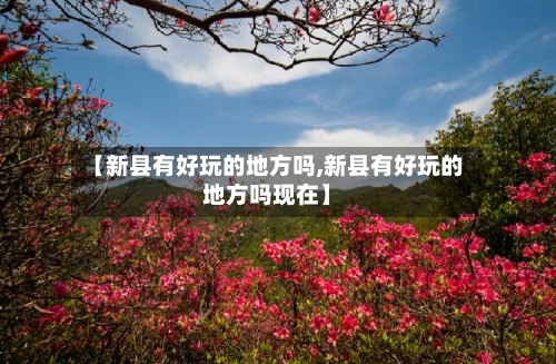 【新县有好玩的地方吗,新县有好玩的地方吗现在】