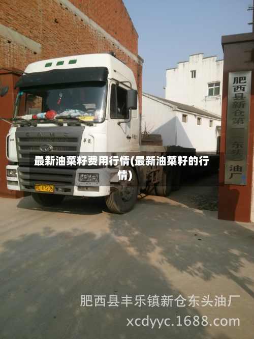最新油菜籽费用行情(最新油菜籽的行情)